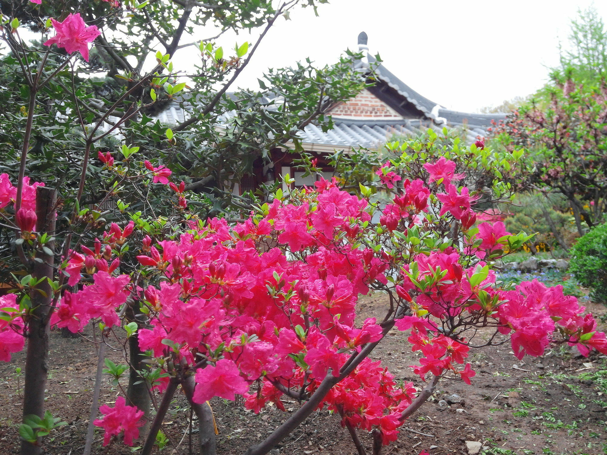 Sodamwon 全州市 エクステリア 写真